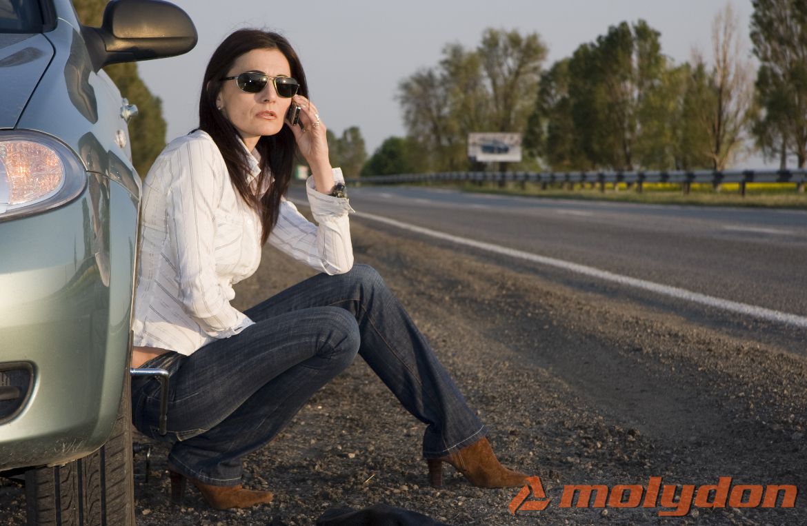 SIGURNOSNI PROPUSTI VOZAČA